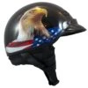 LS2 Bagger Murica Eagle Helmet